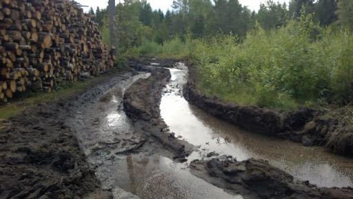 Foto: Viken Skog Teknologiutvikling Markfuktighetskart Takst av