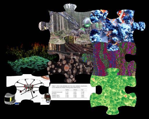 Oppsummering Fjernanalyse og presisjonsskogbruk