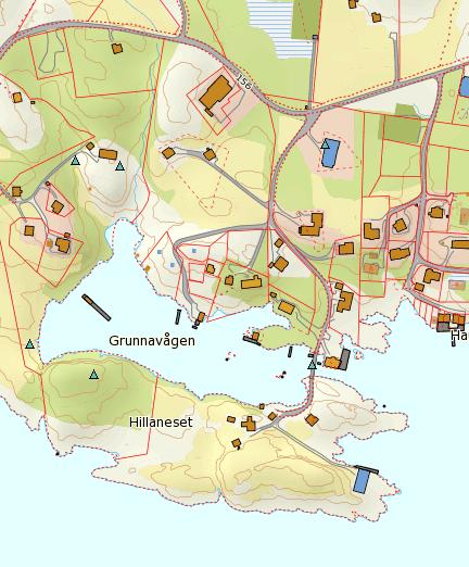 Utklipp frå artskart I artskart er det er registrert Gråhegre, brun korallav og Kvinand sør i planområdet.