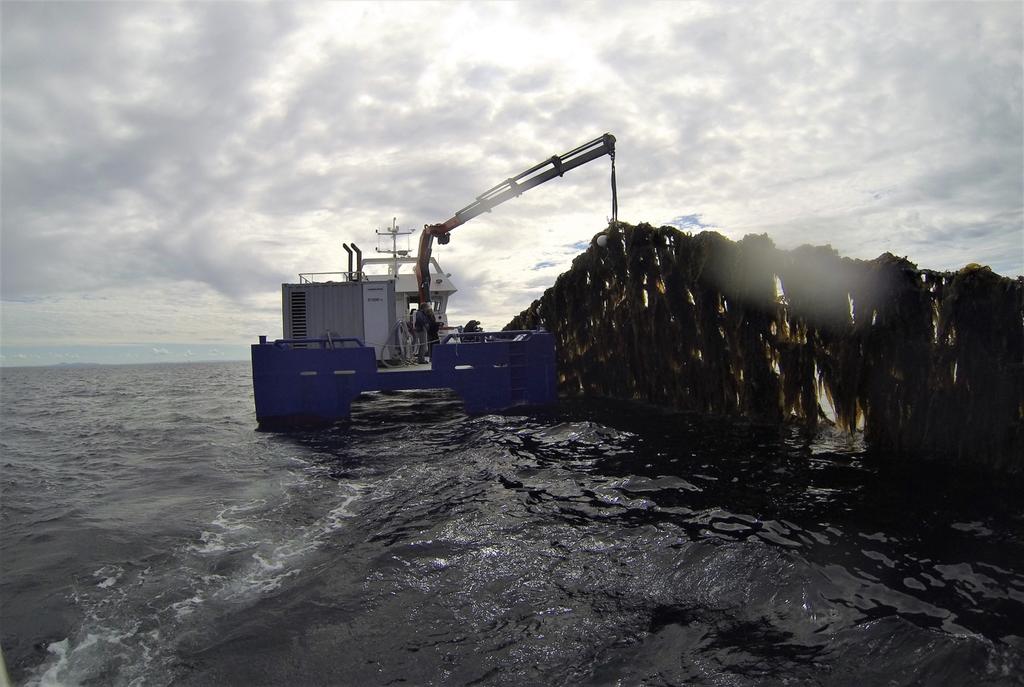 3.4 Marin forsøpling fra taredyrkingsanlegg Når det gjelder marin forsøpling er mye av utstyret som brukes innenfor havbruk og fiskeri basert på plast.