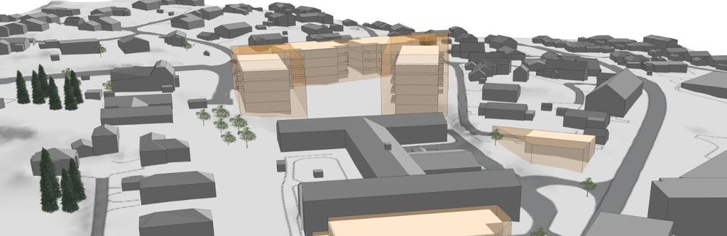 Bakgrunn for ny reguleringsplan er at planområdet med felt A, B, C, D og E skal vurderes som helhet hvor eksisterende sykehjem og barnehage på henholdsvis Felt A og B skal beholdes og forblir