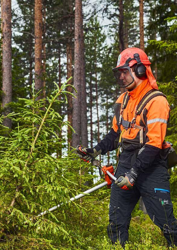 Skogstell for verdiproduksjon