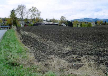 Olavs Plass 0130 Oslo TJERNE 174/5,6 RINGSAKER KOMMUNE, HEDMARK