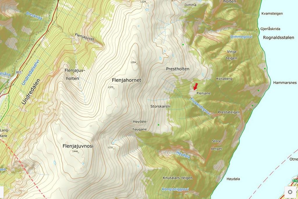 Dette løyvet er berre behandla etter verneforskrifta. Det må i tillegg innhentast naudsynt løyve til snøskutertransport frå aktuelle grunneigarar og Aurland kommune.