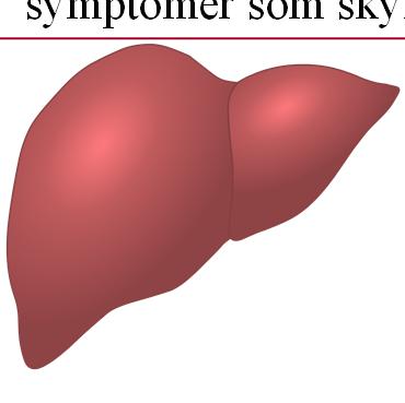 Hva skjer dersom man får symptomer som skyldes PV? Hvor «skader» de ulike porfyrinforstadiene/porfyrinene?