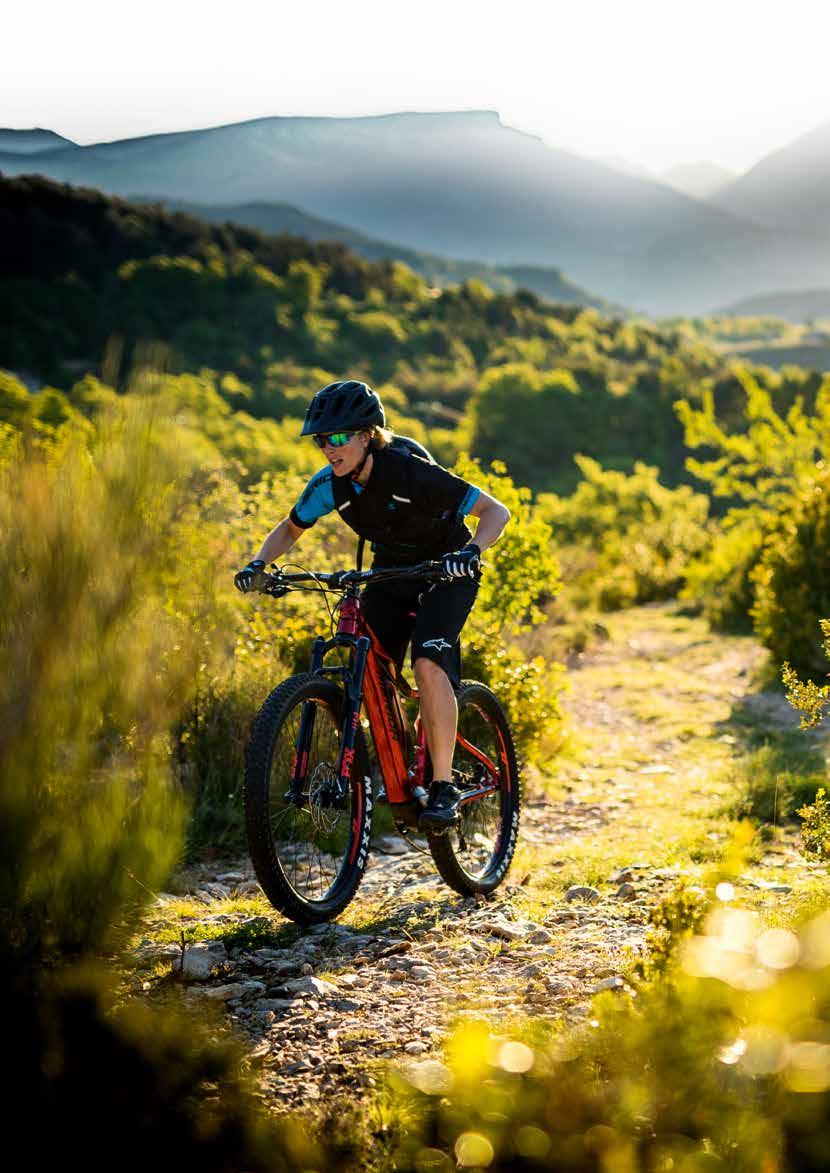 PERFORMANCE FOR TRAIL-FANS ebig.tr AIL Our ebig.trail hardtail offers a real full suspension alternative if you are looking for maximum fun on flowy trails all with an E-bike!