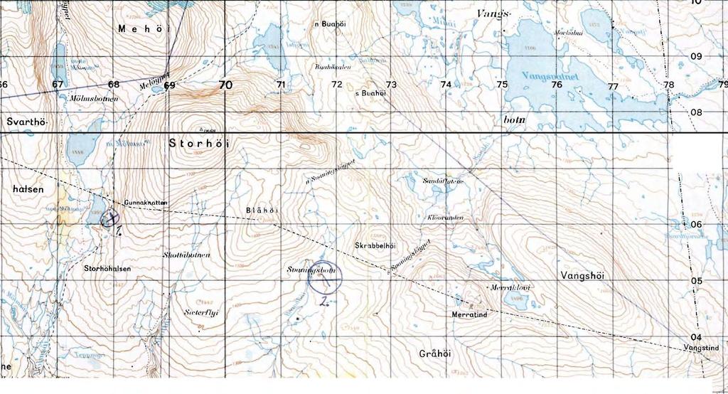 Kart 1: Forslag fra Lesjaskog Heimrast til plassering av ny