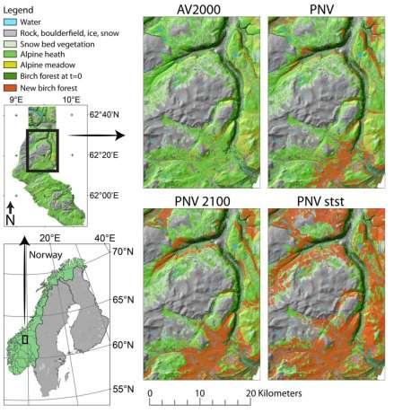 Albedo vs karbonlagring - 1 Dovrefjellsregionen dominert av fjellbjørk Skille effekter av gjengroing fra tilgroing AV2000 = dagens vegetasjon PNV = potensiell naturlig vegetasjon PNV 2100 = PNV i år