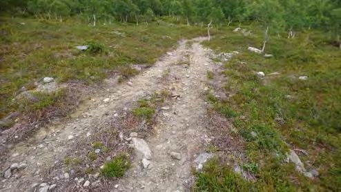 Svært mye av kjøringen foregår i helger og høytider når tilstedeværelsen av oppsyn er lav.