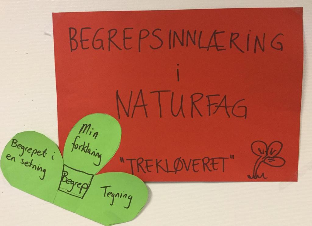 Lærer velger ut 25 begrep fra et kapittel Hver elev får et begrep og lager et trekløver. I "min forklaring" må alle elevene skrive fem setninger som forklarer begrepet.