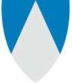 Nesodden kommunevåpen Nesodden kommunevåpen har en sølv spiss på blå bakgrunn som symboliserer spydspiss, seil og formen på halvøya og i flagget en hvit spiss på blå bunn.