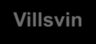 Villsvin