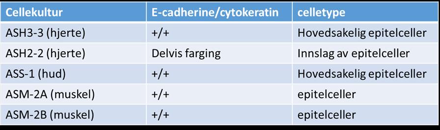 markører (Ecadherin og cytokeratin Positiv farging mot både E-cadherin og cytokeratin viser med ganske stor