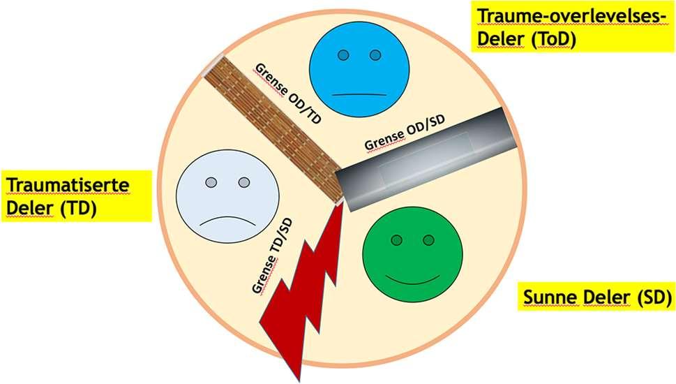Psyken etter traumatisering Traumeoverlevelsesdeler (ToD) Traumatiserte deler (TD) Sunne deler (SD) I IoPT deles den menneskelige psyken inn i 3 deler.