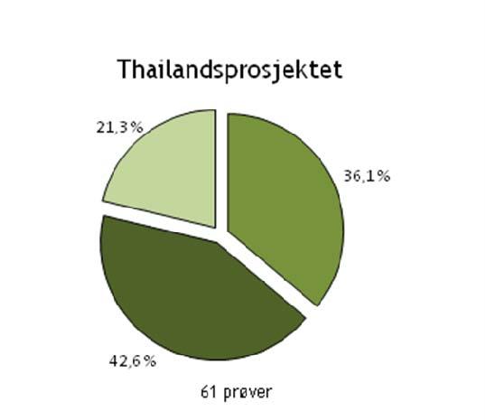 De norske resultatene til kartlegging av plantevernmidler i prøver fra Thailand viste at landet utpeker seg når det gjelder overskridelser og betenkelige funn.