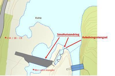 Side 28» NVE konstaterer at Trælandsfos har gjort flere forsøk for å finne løsninger for å hindre at utvandrende smolt og støinger havner i turbinene i kraftverket.
