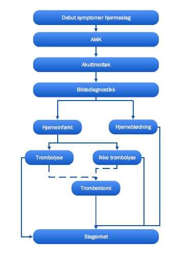 Pakkeforløp hjerneslag fase 1 <