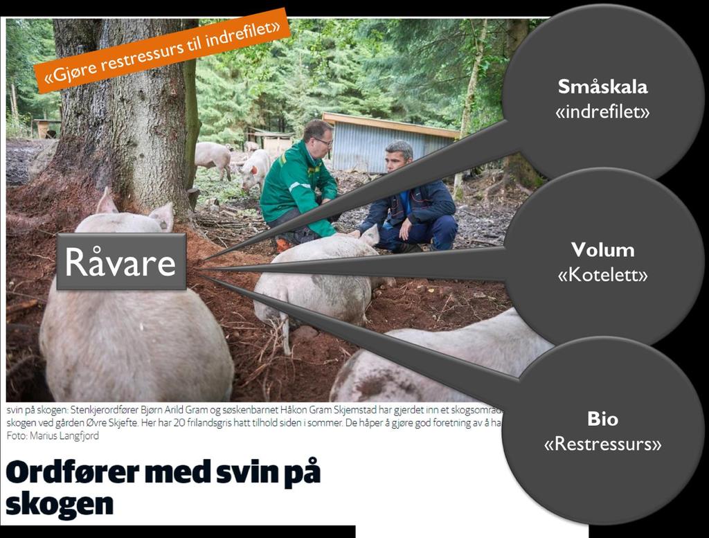 Regionen må: Bygge omdømme basert på en ønsket posisjon Sørge for industri som videreforedler den landbaserte biomassen til eksportprodukter Bygge smartkompetanse slik at industrien er