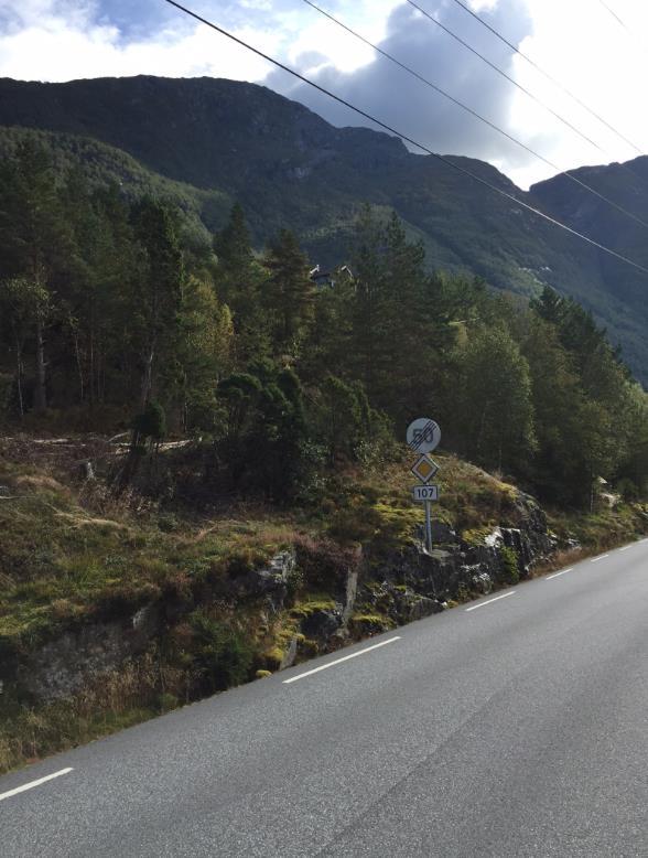 Her finn ein lågtvoksande vegetasjon samt mindre tre og buskar. Det er også ei høgspentline som kryssar planområdet i dette området.