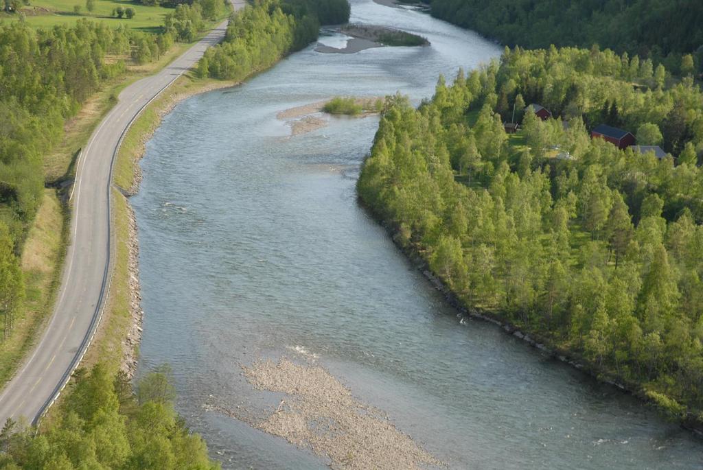 Saltdalselva ved Bleiknes, Saltdal Utførte tiltak på Bleiknes Buner/