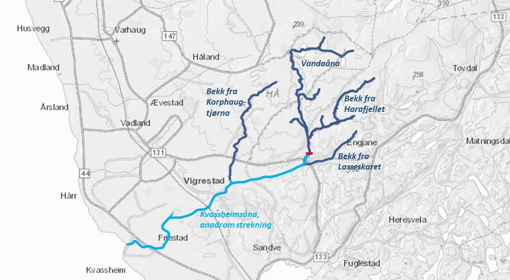 Figur 2.1. Oversiktskart over Kvassheimsåna med sidegreiner. Rød strek viser vandringshinder (foss) fir anadrom fisk. 3 METODE Kartleggingen av elvemusling ble gjort 3.-5. juli 2018.