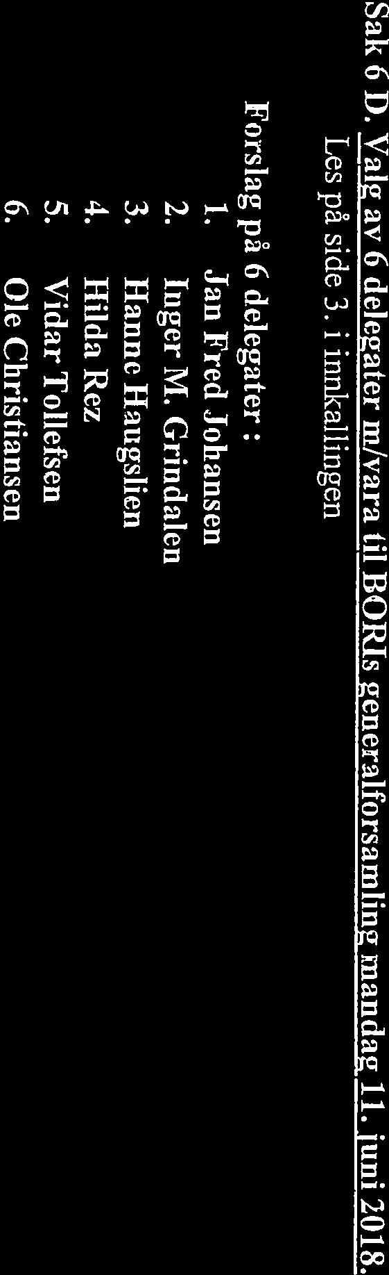 Sak 6 ft Vajgav 6 delegater m/vara til BORIs generalforsamling mandag 11. juni 2018. Les på side 3.