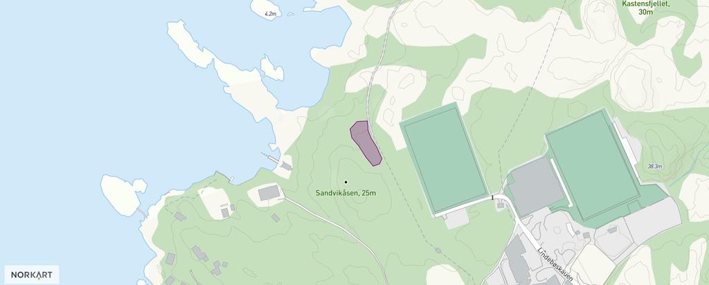 FLEKKERØY Navn: Sandviksåsen Koordinat: 58 5 23 N 7 59 46 Ø Beskrivelse: Mindre forekomst på 35-40 trær i HK2-4. Står lett tilgjengelig rett inntil tursti/traktorvei.