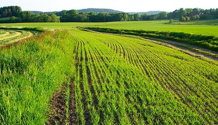 Kommuneplanens arealdel - Arealformål 5. Landbruks-, naturog friluftsformål samt reindrift.