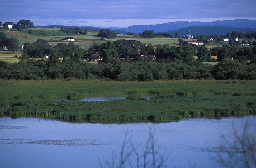 fylket (jf. Direktoratet for naturforvaltning 2005 og 2006, Fylkesmannen i Buskerud 2005). Nordre Tyrifjorden våtmarkssystem ble innlemmet i Ramsarkonvensjonen i 1996.