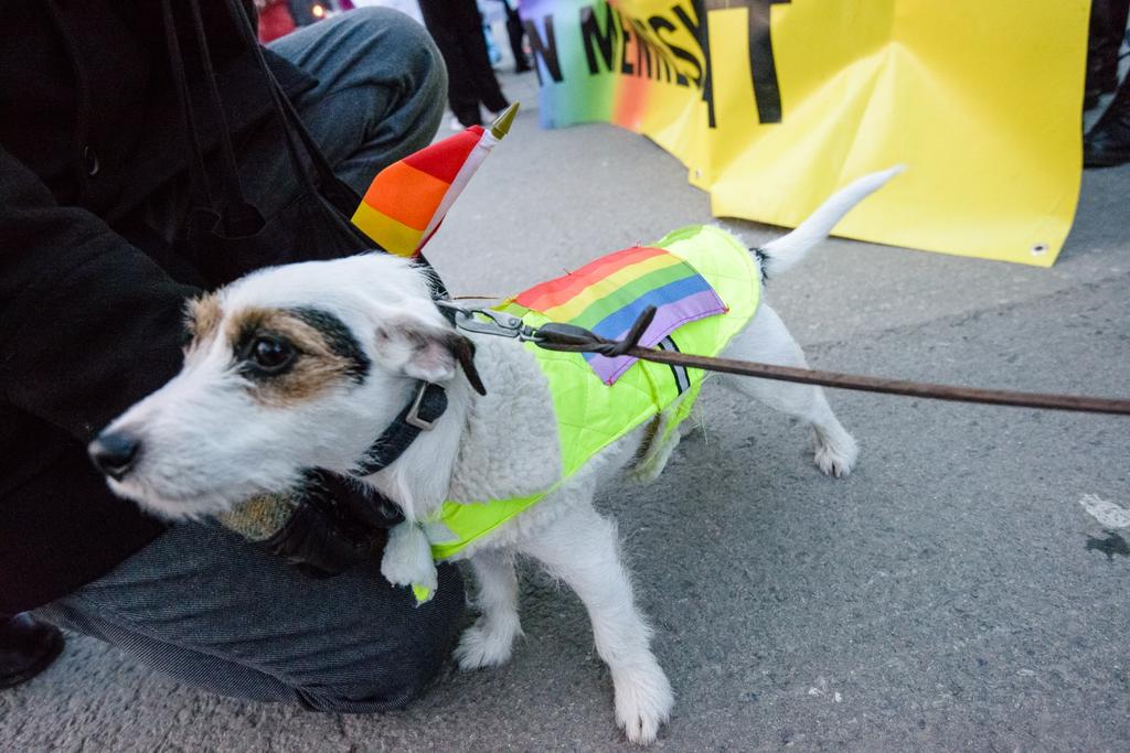 TROMSØ ARCTIC PRIDE AS Postboks