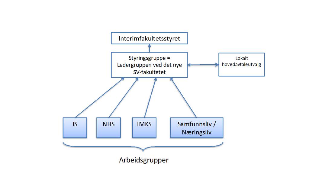 Organisering av prosess arbeidsgrupper: Vi legger opp til en involverende prosess der flere arbeidsgrupper er med på å utvikle den strategiske handlingsplanen.