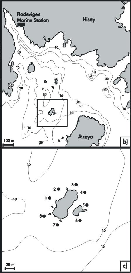 Eksisterende kunnskapsgrunnlag Geografisk utstrekning av leppefisk bestander