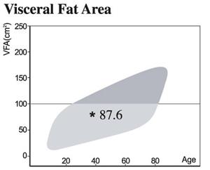 7 Visceralt fett Visceralt fettområde er vist som en grafisk fremstilling av visceralt fett i buken. Når området av visceralt fett er over 100cm 2 er det kjent som bukfedme.