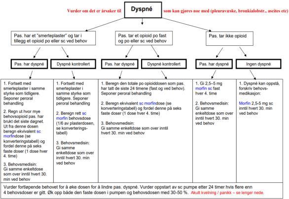 79 Dyspnoe hos palliative pasienter 40 80 % av ikke kurable kreftpasienter vil oppleve dyspnoe av varierende årsaker Rundt 50 % kjenner på følelse av dyspnoe i siste leveuker Svært ubehagelig for