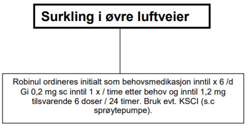 (OBS vurder indikasjon for slike undersøkelser nøye i terminal fase) Klinisk undersøkelse Blodgass målinger, metningsmålinger Rtg thorax, CT thorax 80 Terminal dyspnoe Vurder årsaker som kan