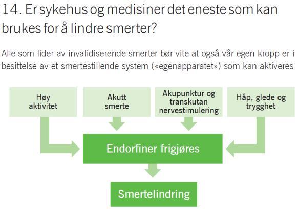 Så den uoffisielle: Morfinen.» «I Norge i dag har vi aktiv dødshjelp, men vi snakker ikke om den.