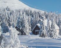 Skei Fjellkirke Mountain Church Skei Fjellkirke ligger idyllisk til mellom grantrærne ved foten av Skeikampen. Kirken er vigslet av daværende biskop Rosemarie Köhn, og innviet 4. november 2001.