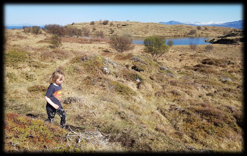 INNLEDNING Øygruppene i ytre Salten består av en rekke ulike ansamlinger holmer og skjær, som til sammen kalles «vær». Utenfor Bodø ligger Bliksvær (Ramsar-område), Helligvær og Givær. Lengst sør, ca.