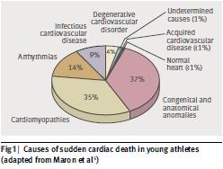 Studie fra USA (Maron, Thompson et al.