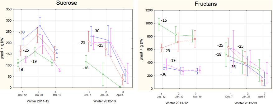 karbohydratbestemmelse gjennom to vintre Analyse av gresskroner flerårig raigras Flerårig raigras