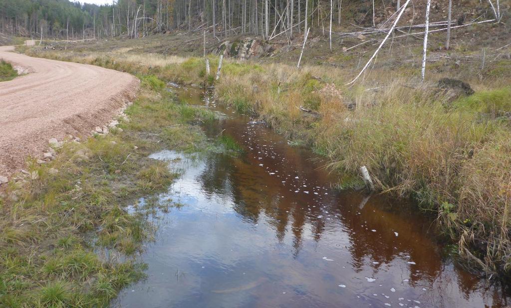 Figur 5: I dette området skal bekken føres under veien og sørvestover, i stedet for å gå