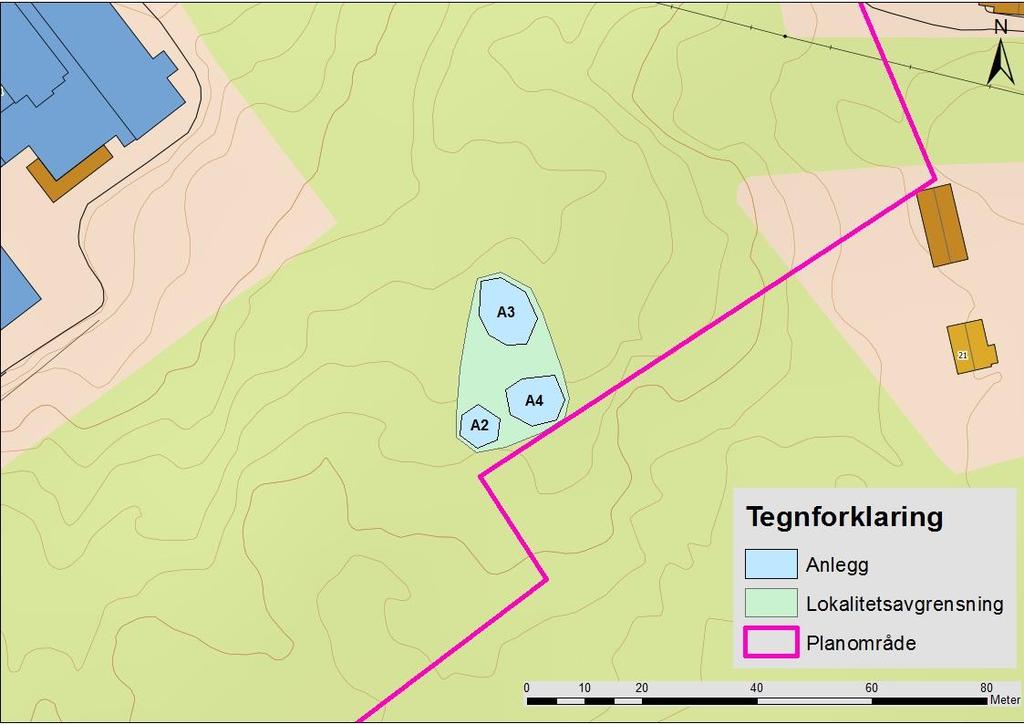 Anlegg A.nr.: Mål: Skildring: Tolkning: A2 6 x 6 m Tilnærmet sirkulær, forstyrret. Ca. 0,5 cm høy.