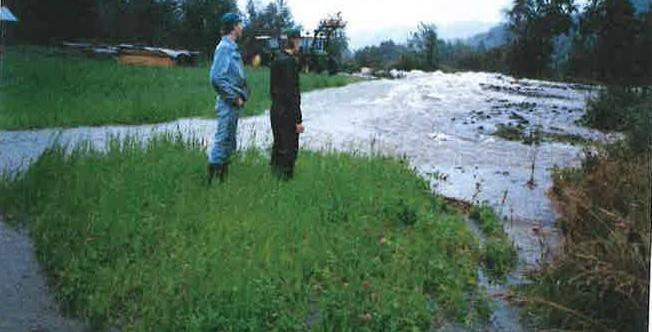 73: Augga nedstrøms Finnsrudbekken 1998, ved