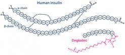 = insulin degludec Reduced