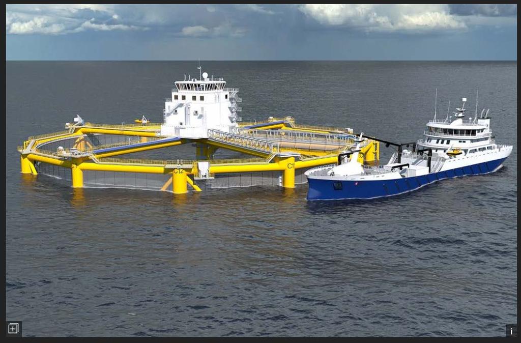Ocean Farming AS Skal fremme norsk miljøteknologi i nasjonale og internasjonale markeder.