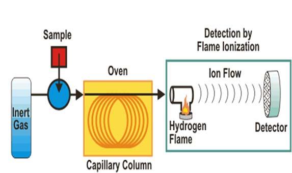 gass: N Autosampler/ Triplus RSH Flamme