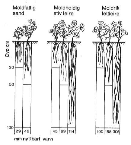 Jordstruktur og moldinnhold.