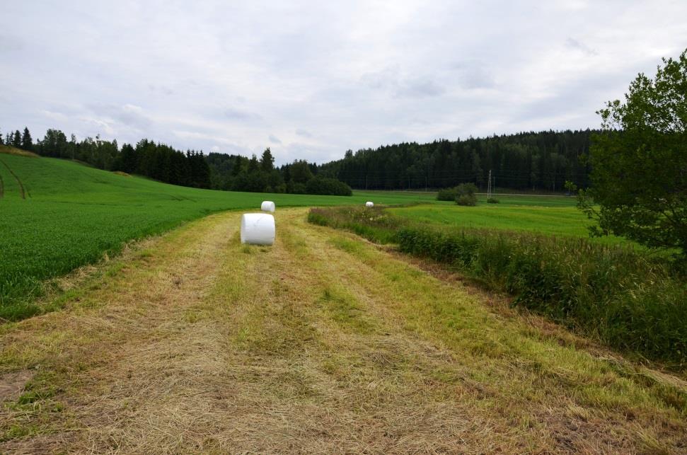 «Carbon farming» f.ek.