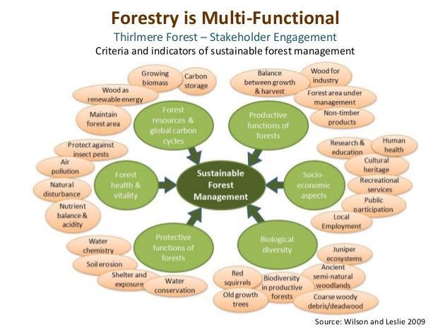 Helhetlig analyse av strategier for skogforvaltning trengs FNs Klimapanel: Reduksjon av klimagasser er størst når trevirket primært brukes til