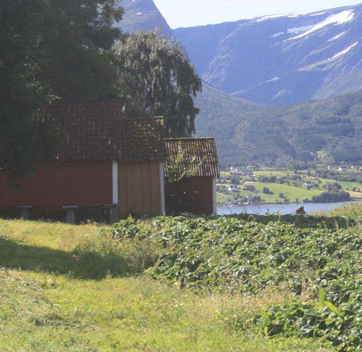 Eit kreativt og verdiskapande Noreg ha ei sterkare satsing på næringsutvikling og attraktive arbeidsplassar at kommunen bidrar til å sikre næringsareal/- lokale til nyetablerarar på gunstige vilkår i